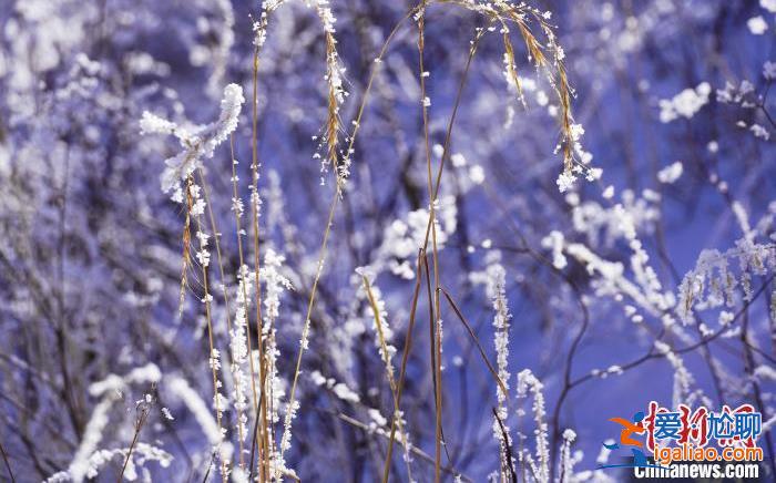 今日大雪丨仲冬之月 順意平安？