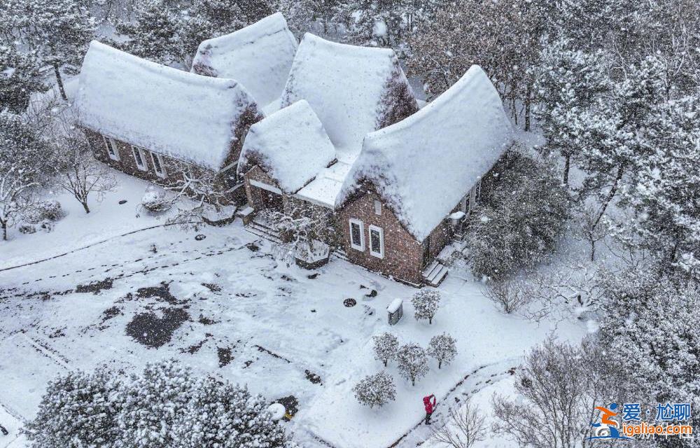 火鍋 安排嗎？今日大雪 進(jìn)補(bǔ)的好時節(jié)……？