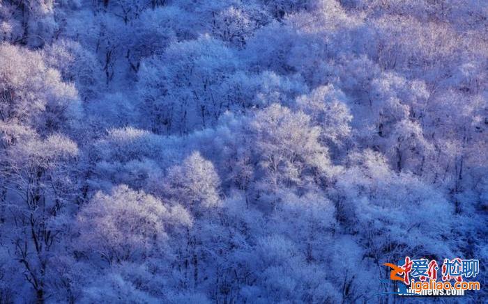 今日大雪丨仲冬之月 順意平安？