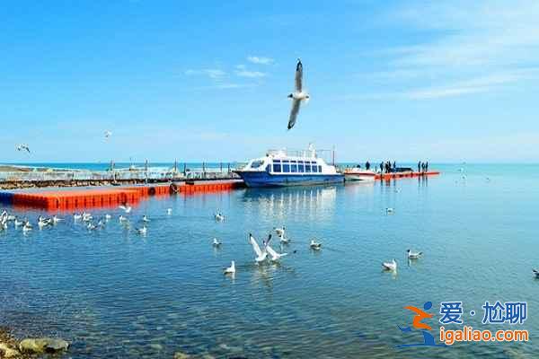 西寧怎么去青海湖，從西寧怎么去青海湖？