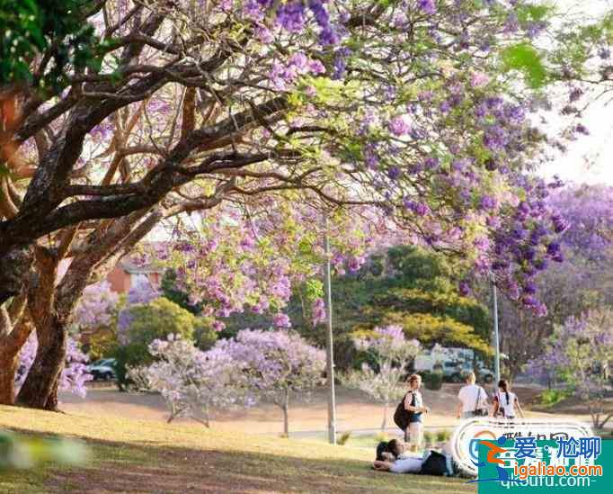 英國留學(xué)：牛津大學(xué)知名校友及所獲榮譽介紹？