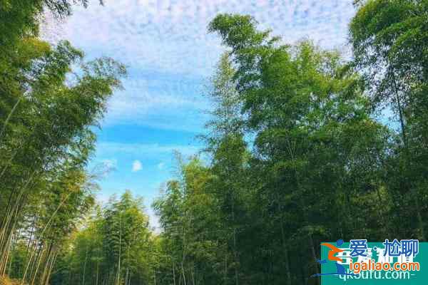2021宜興竹海風(fēng)景區(qū)將于12月25日恢復(fù)開放公告？