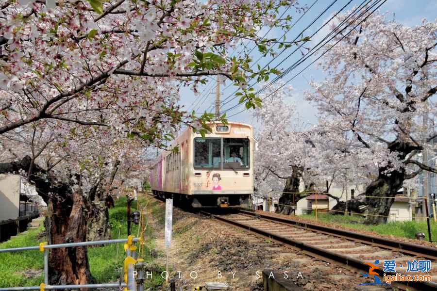什么時候去日本便宜，幾月去日本旅游便宜？