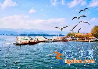 昆明，一個(gè)四季都花開(kāi)不敗的城市花園？
