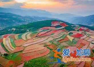 昆明，一個(gè)四季都花開(kāi)不敗的城市花園？