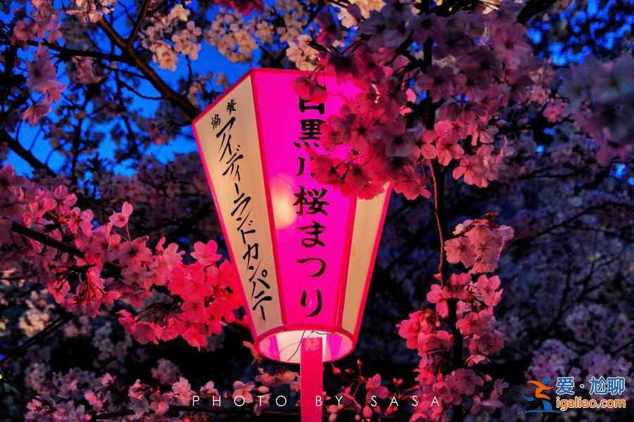 什么時候去日本便宜，幾月去日本旅游便宜？