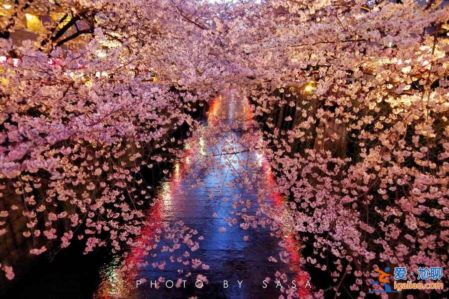 什么時候去日本便宜，幾月去日本旅游便宜？