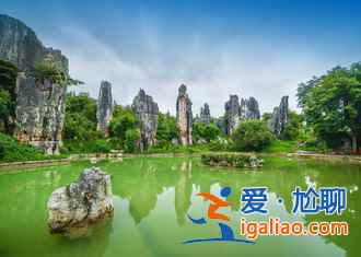 昆明，一個(gè)四季都花開(kāi)不敗的城市花園？