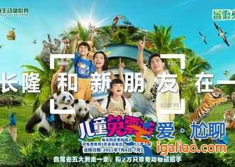 長隆飛鳥樂園好玩嗎，長隆飛鳥樂園值得去嗎，長隆飛鳥樂園游玩攻略？