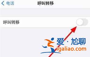 iphone12來電轉(zhuǎn)移如何設(shè)置？