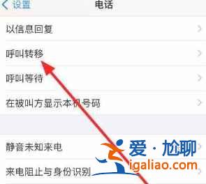 iphone12來電轉(zhuǎn)移如何設(shè)置？