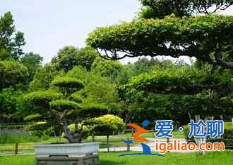 開封——一朝步入畫卷，一日夢回千年？