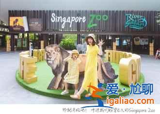 新加坡，一座活力四射的花園城市？