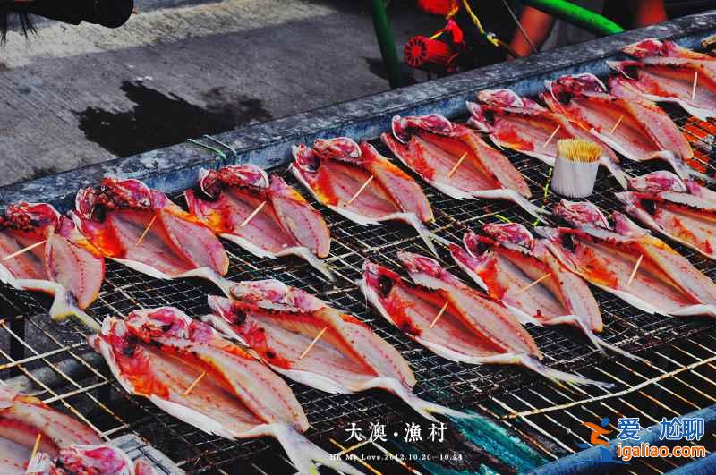 香港的離島哪個好玩，香港離島哪個最好，香港哪個島最好玩？