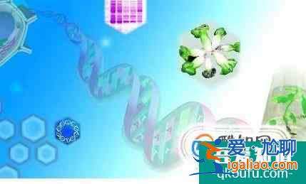 英國(guó)留學(xué)生物技術(shù)專業(yè)畢業(yè)后就業(yè)情況解析？