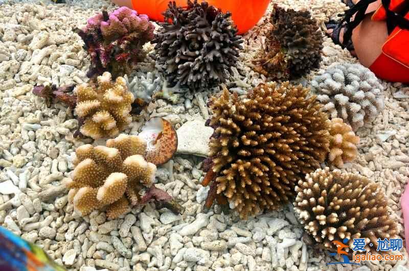 西沙群島在哪兒,西沙群島在哪個(gè)省,西沙群島地理位置? 西沙群島在哪兒,西沙群島在哪個(gè)省,西沙群島地理位置?