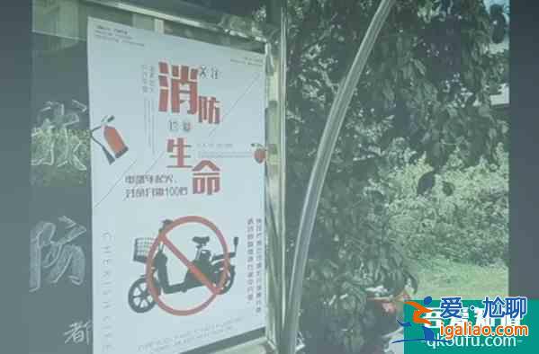 《平凡的榮耀》：“筋斗云”項目告訴你為什么共享電動車火不起來？
