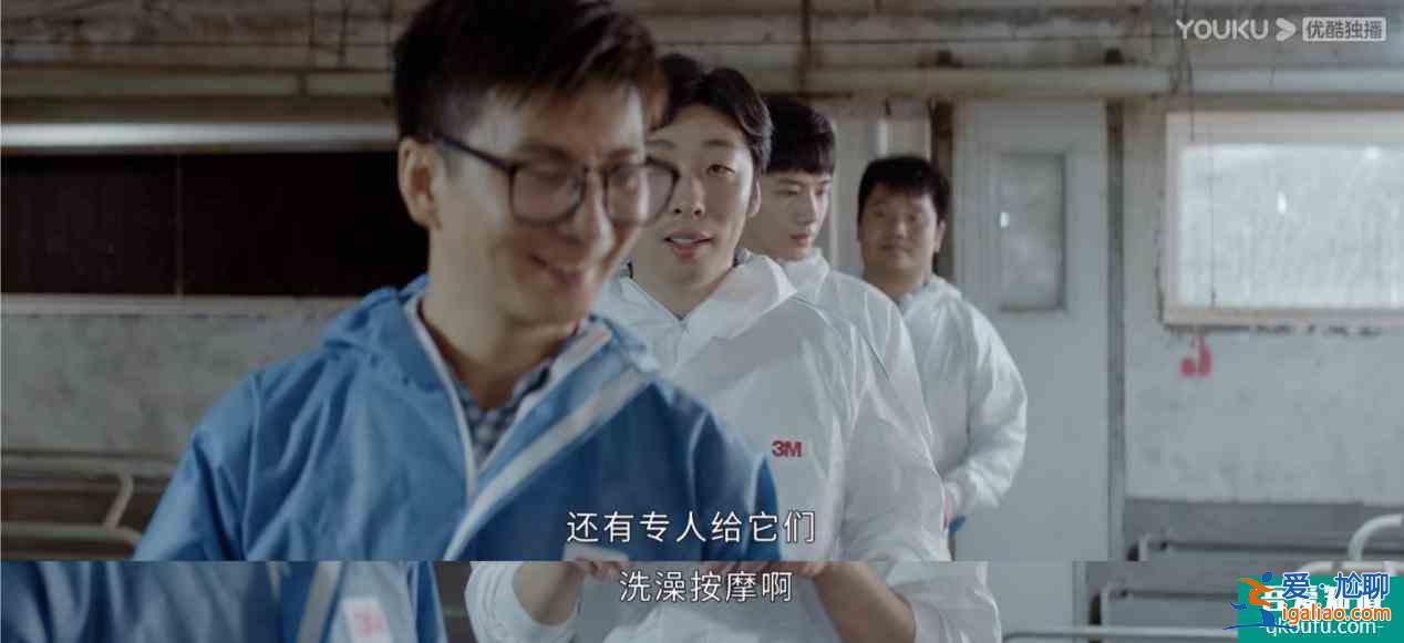 《平凡的榮耀》實(shí)習(xí)四人組隊(duì)下鄉(xiāng)啦！熱血又搞笑的少年團(tuán)誰能不愛？