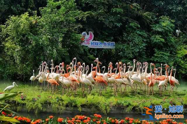 廣州長(zhǎng)隆旅游度假區(qū)好玩么，長(zhǎng)隆旅游度假區(qū)有什么好玩的，廣州長(zhǎng)隆旅游度假區(qū)游玩攻略？