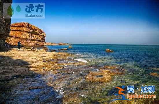 【山東長島自助游】到長島與萬只海鷗成為朋友？