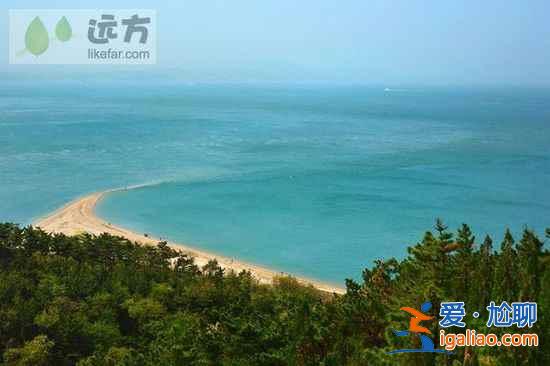 【山東長島自助游】到長島與萬只海鷗成為朋友？