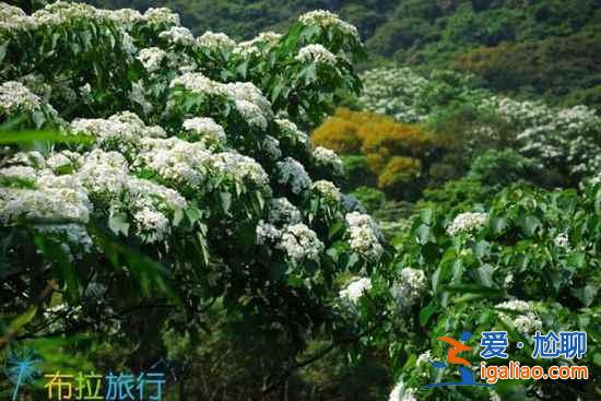 【第二次去臺(tái)灣的理由】在臺(tái)灣你可能沒做的9件事？