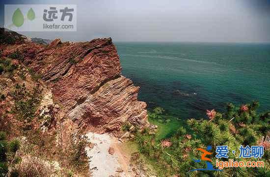 【山東長島自助游】到長島與萬只海鷗成為朋友？