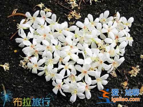 【第二次去臺(tái)灣的理由】在臺(tái)灣你可能沒做的9件事？