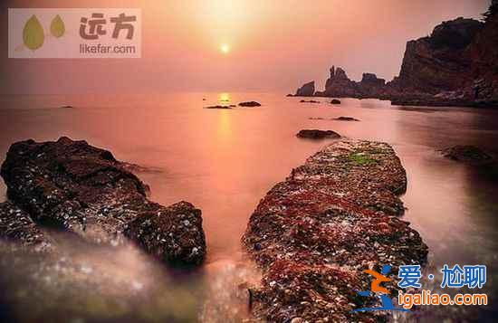 【山東長島自助游】到長島與萬只海鷗成為朋友？
