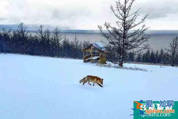 貝加爾湖最佳旅游季節(jié) 貝加爾湖冬天值得去嗎？