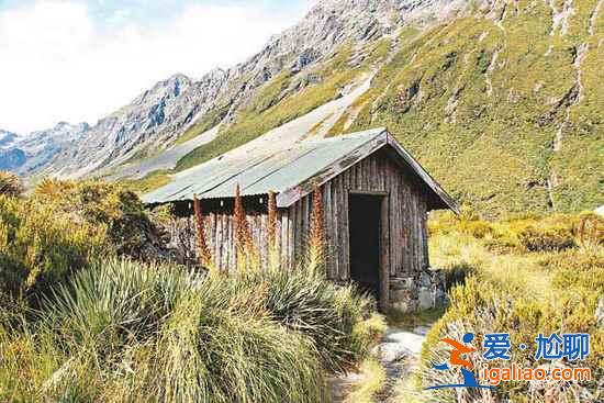 【新西蘭旅游攻略】純凈新西蘭美麗的地方？