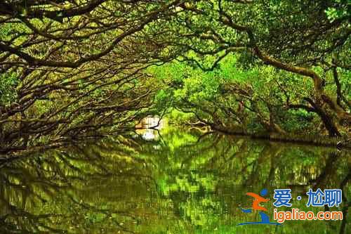 【臺灣私密照】臺灣的八處私密美景？