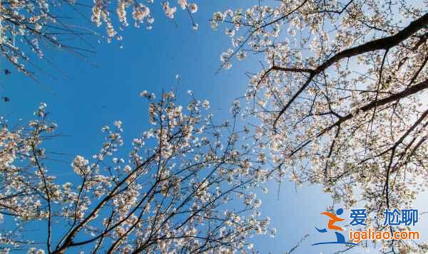 【魯迅公園改造后重開園】上海魯迅公園門票、地址、開放時間、附近酒店？