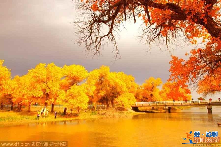 【國慶旅游推薦】細(xì)數(shù)國內(nèi)20個(gè)秋景最佳攝影旅行地？