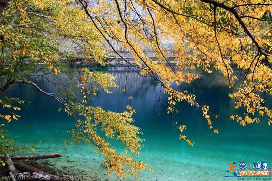 【國慶旅游推薦】細(xì)數(shù)國內(nèi)20個(gè)秋景最佳攝影旅行地？