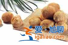 猴頭菇的做法？