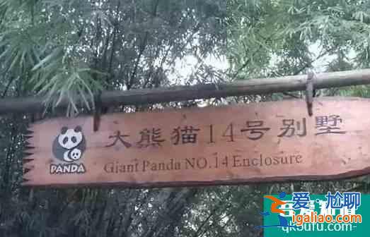 國內(nèi)冬天哪些地方適合親子游？