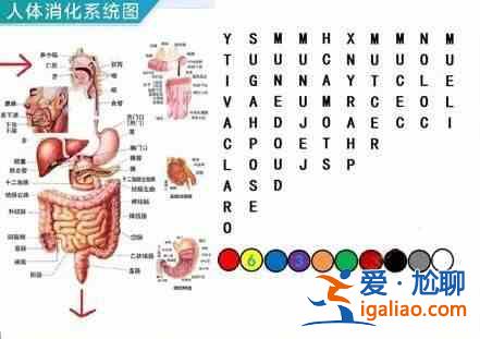 犯罪大師密室逃脫答案是什么？密室逃脫正確答案圖文一覽？
