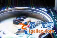 黑蘑菇的做法大全？