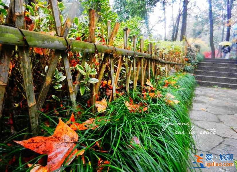 靈隱寺門票價格（學生票及優(yōu)惠政策）？