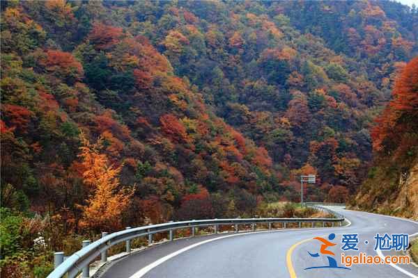 盤點國內(nèi)最美的10條公路 最美的風景在路上？