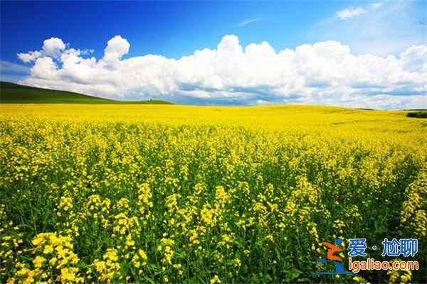 國內(nèi)適合情侶避暑的地方：在最純凈的地方說“愛你”？