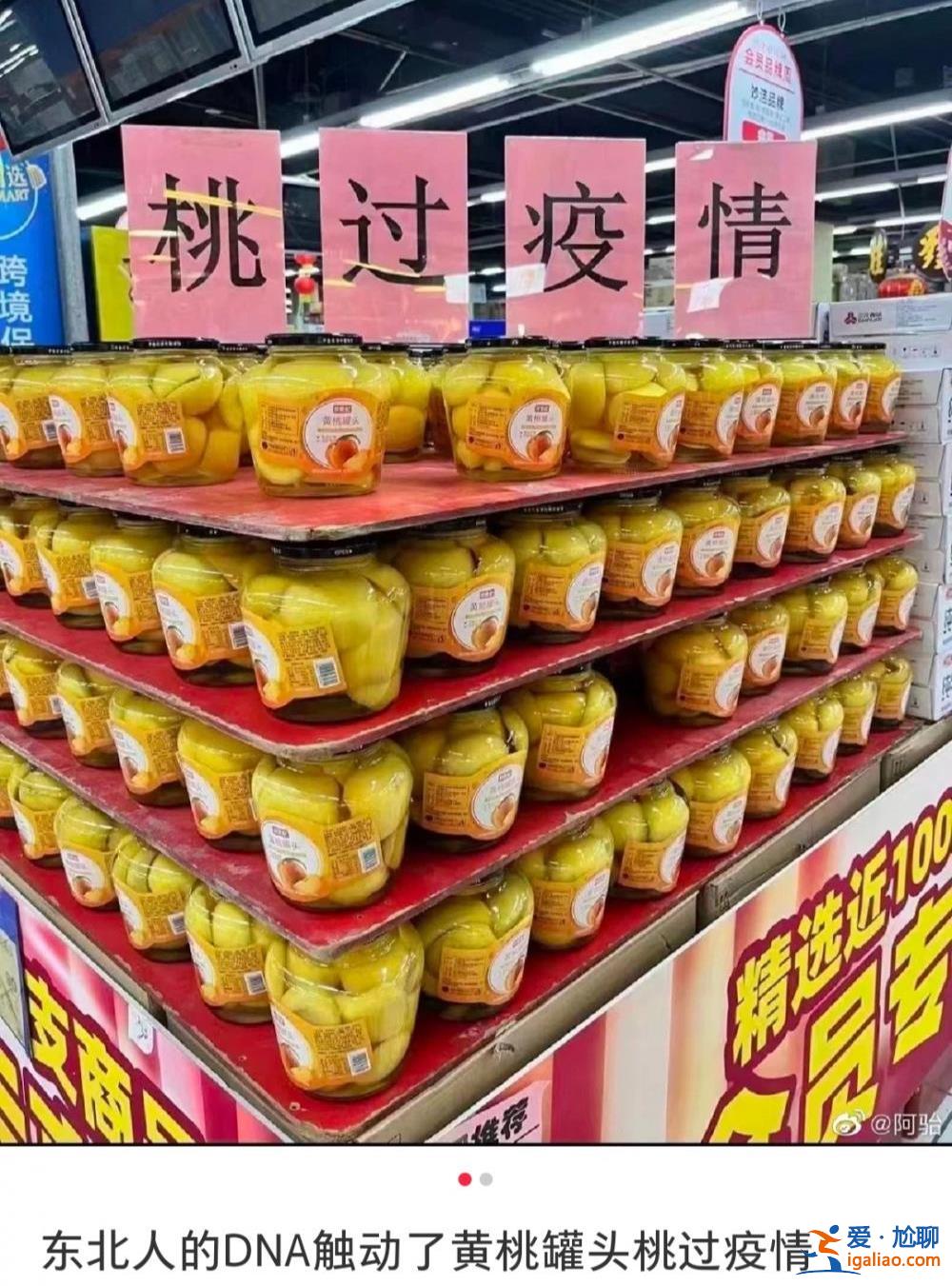 遭瘋搶的黃桃罐頭 是如何在東北“封神”的？？