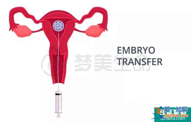 一份完整的試管嬰兒攻略？