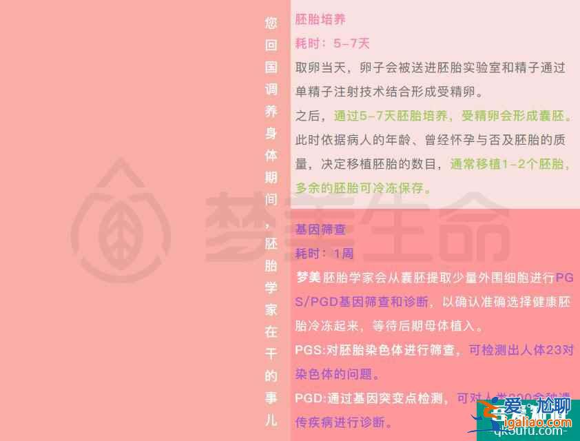 一份完整的試管嬰兒攻略？