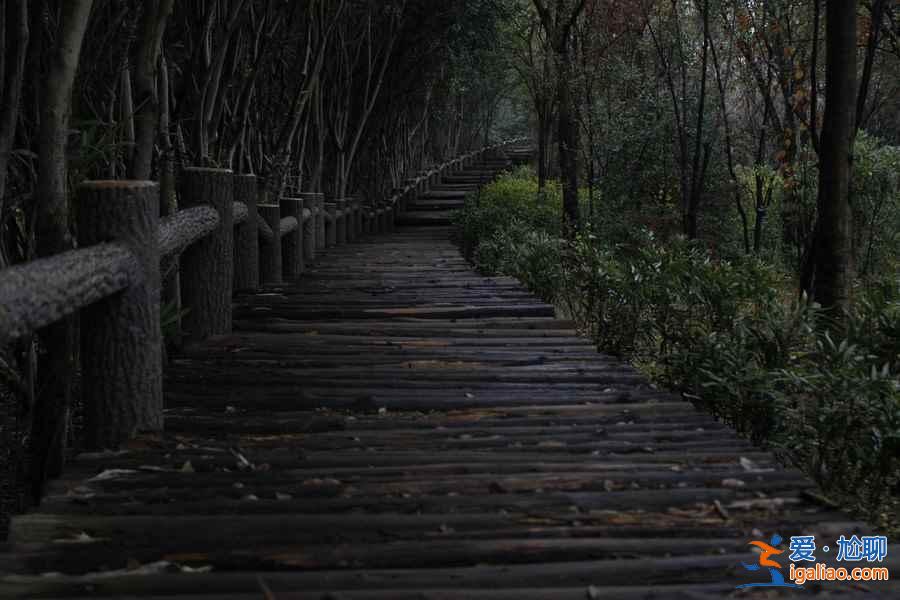 上海人少好玩的地方，上海人少的景點推薦？