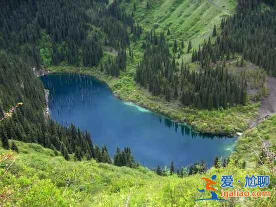 【卡因德湖美景】揭秘卡因德湖底森林奇觀？