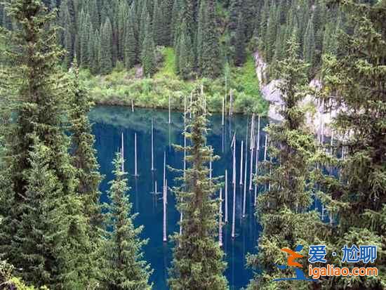 【卡因德湖美景】揭秘卡因德湖底森林奇觀？