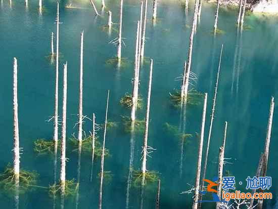 【卡因德湖美景】揭秘卡因德湖底森林奇觀？
