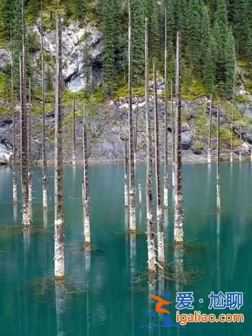 【卡因德湖美景】揭秘卡因德湖底森林奇觀？